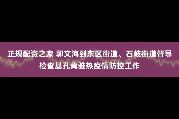 正规配资之家 郭文海到东区街道、石岐街道督导检查基孔肯雅热疫情防控工作